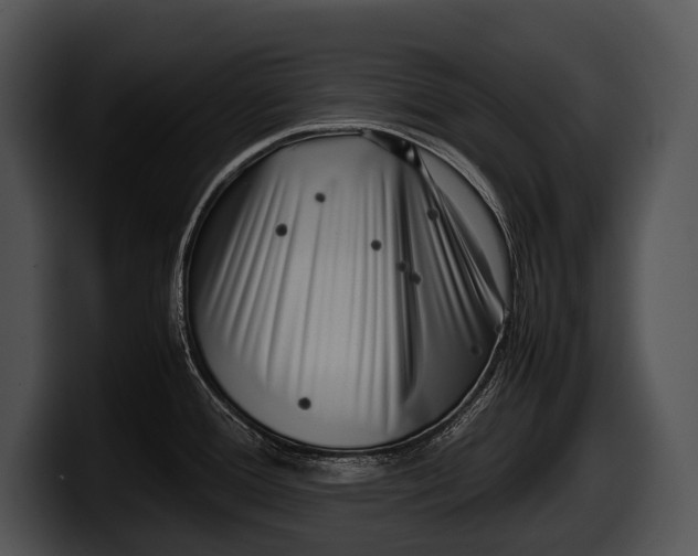 X0000100191388200806201245