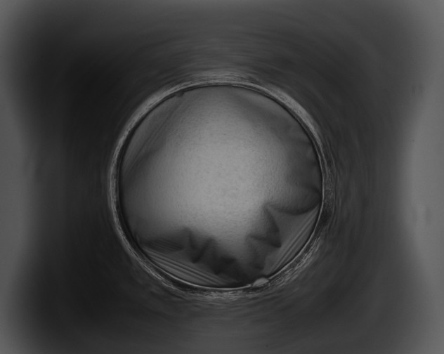 X0000100191389200806201245