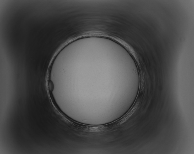 X0000100191390200806201245