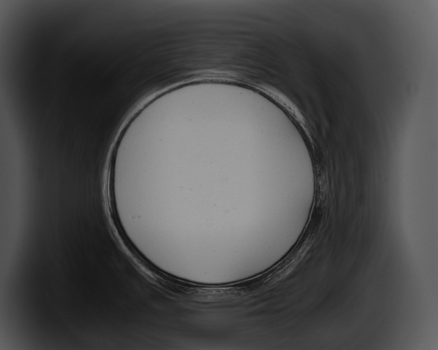 X0000100191391200806201245