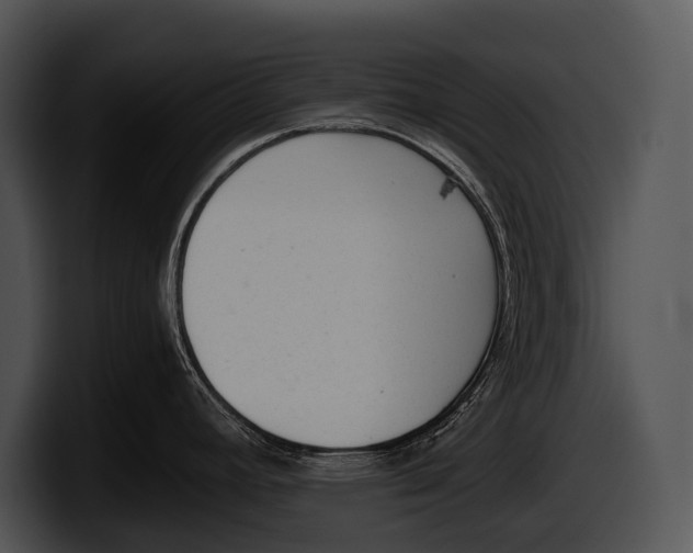 X0000100191392200806201245