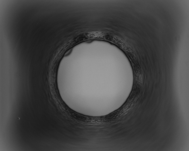 X0000100191393200806201245