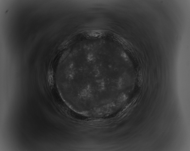 X0000100191394200806201245