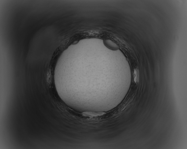 X0000100191395200806201245