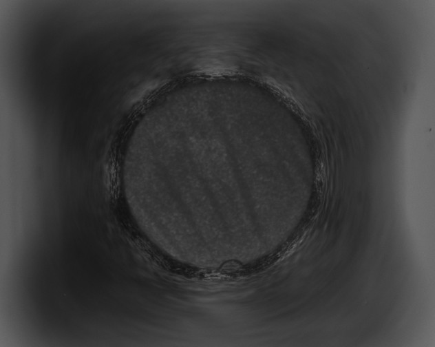 X0000100191398200806201245