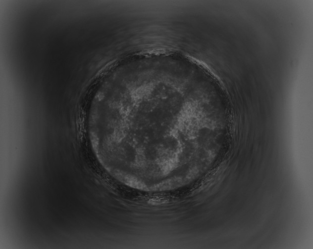 X0000100191399200806201245