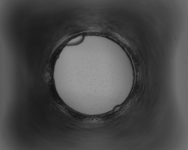 X0000100191400200806201245