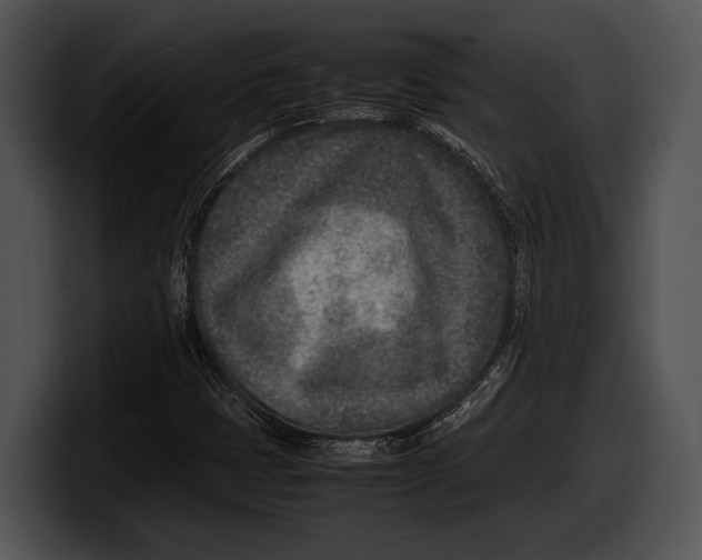 X0000100191401200806201245