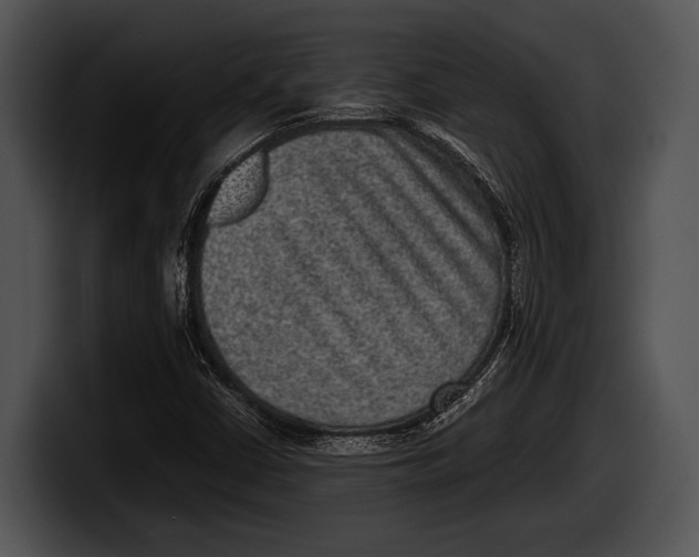 X0000100191402200806201245