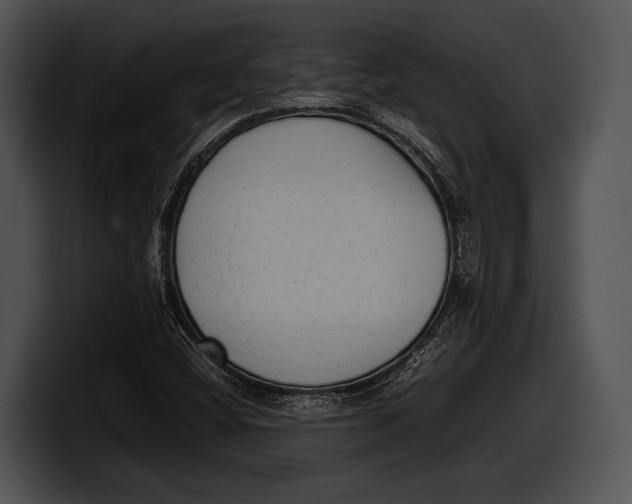 X0000100191404200806201245