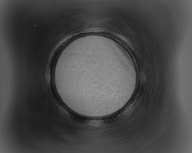 X0000100191406200806201245