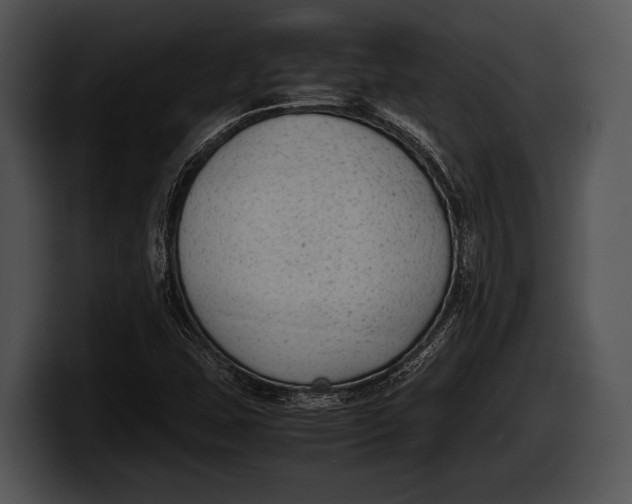 X0000100191407200806201245