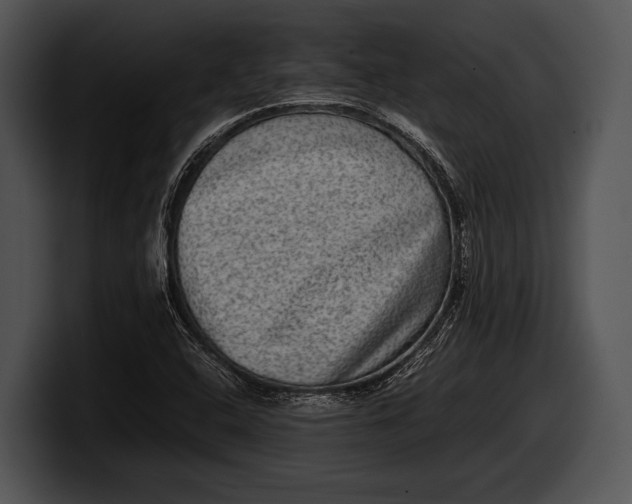 X0000100191408200806201245