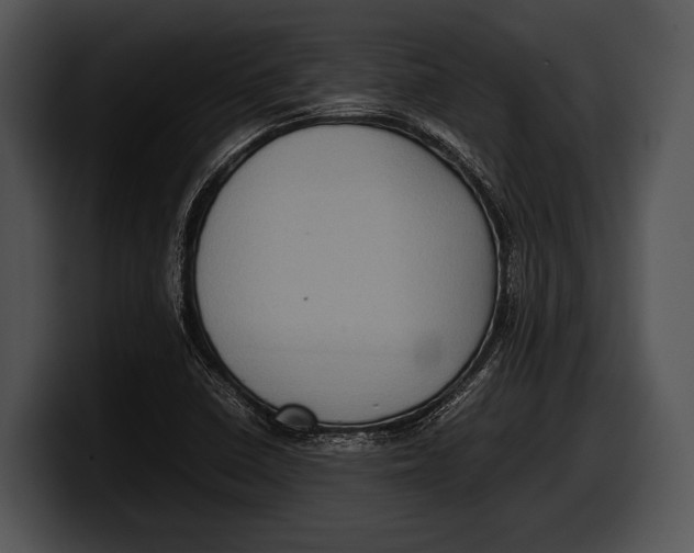 X0000100191410200806201245