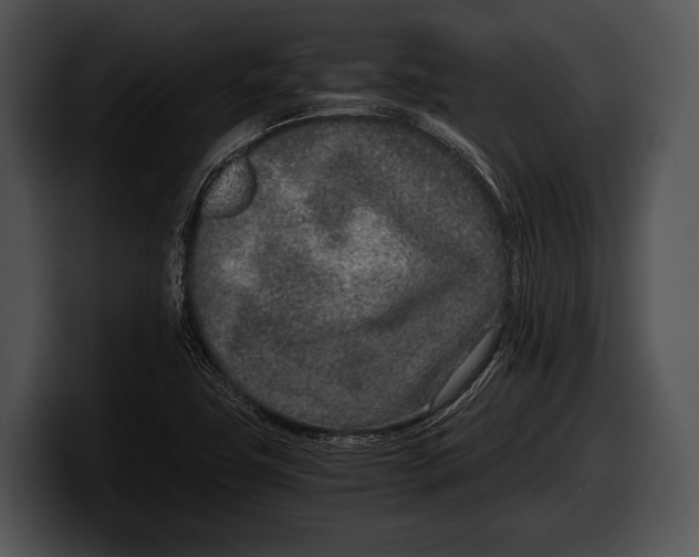 X0000100191411200806201245