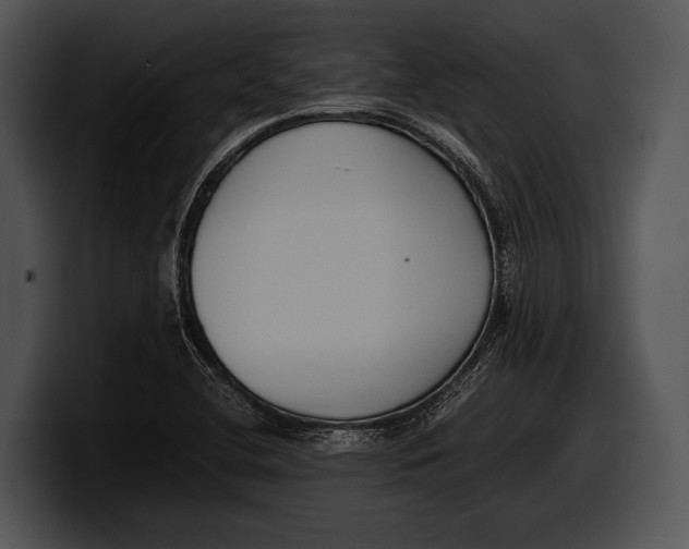 X0000100191412200806201245