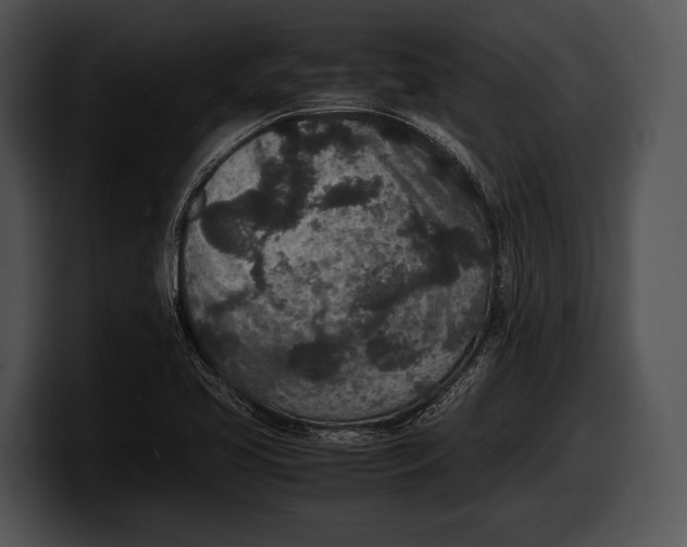 X0000100191413200806201245