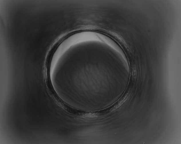 X0000100191414200806201245