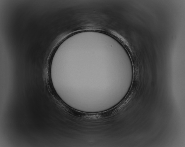 X0000100191415200806201245