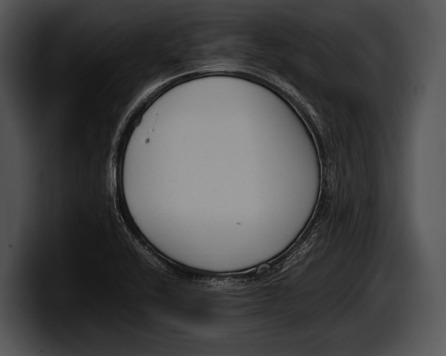 X0000100191416200806201245