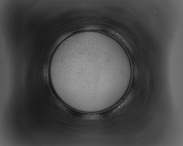 X0000100191417200806201245