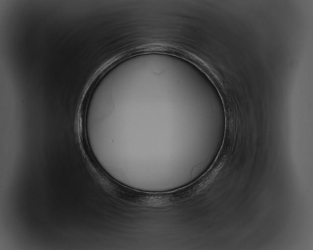 X0000100191418200806201245