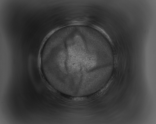 X0000100191419200806201245