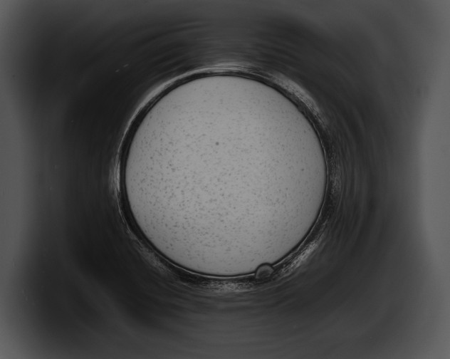 X0000100191420200806201245