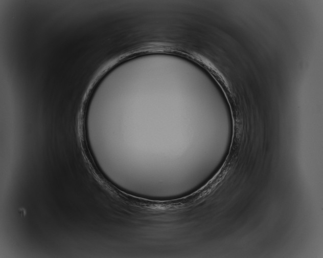 X0000100191421200806201245