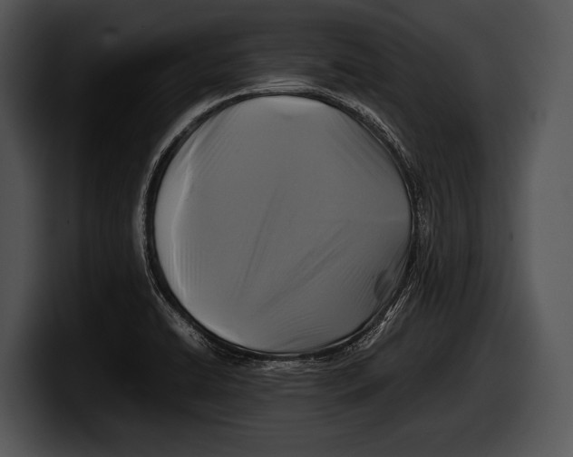 X0000100191422200806201245