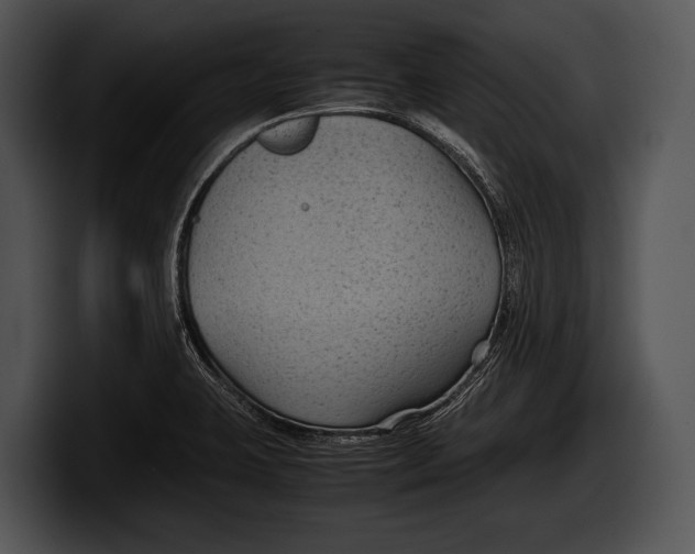 X0000100191423200806201245