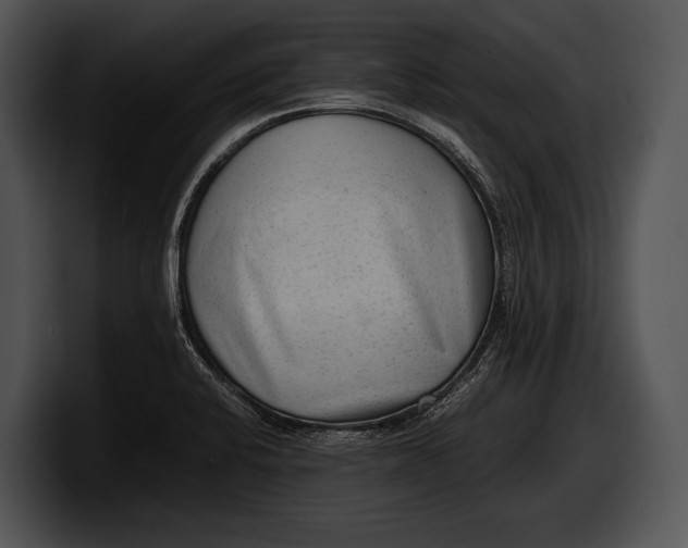 X0000100191424200806201245