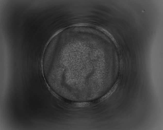 X0000100191425200806201245