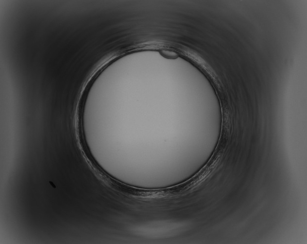 X0000100191426200806201245