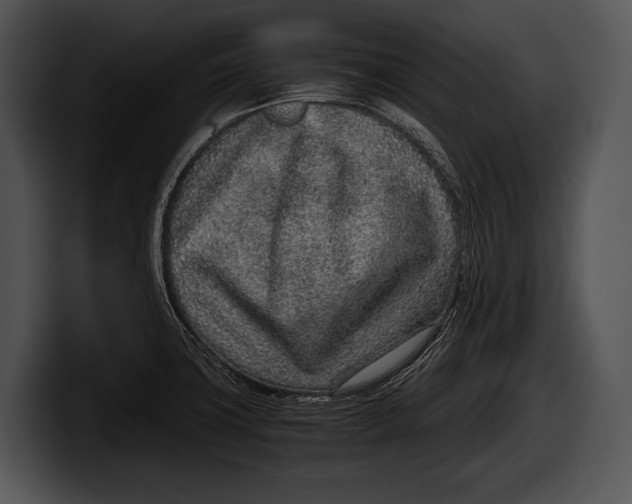 X0000100191427200806201245