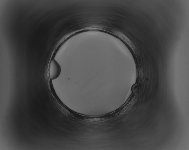 X0000100191428200806201245