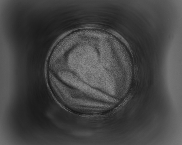 X0000100191429200806201245