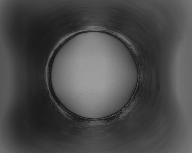 X0000100191430200806201245