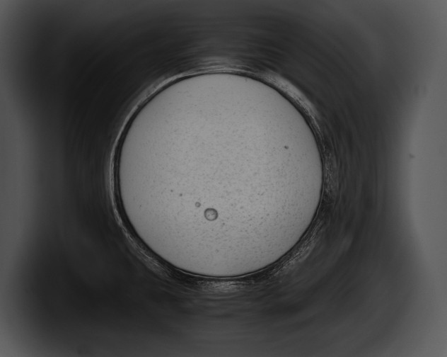 X0000100191431200806201245