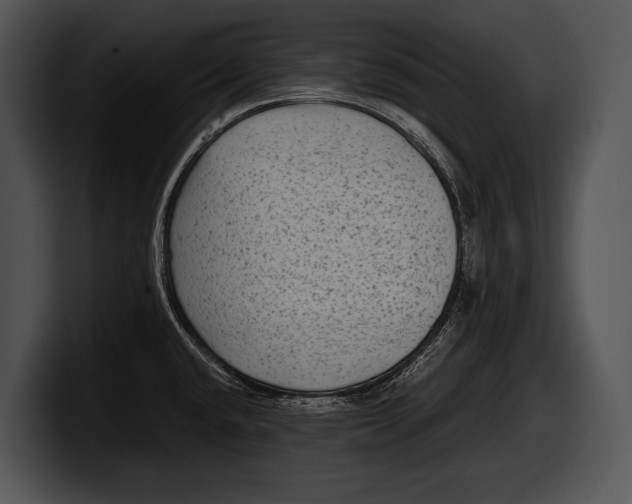 X0000100191432200806201245