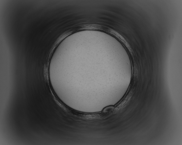 X0000100191433200806201245