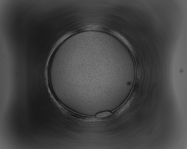 X0000100191434200806201245