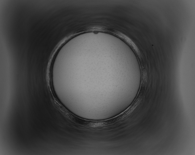 X0000100191435200806201245