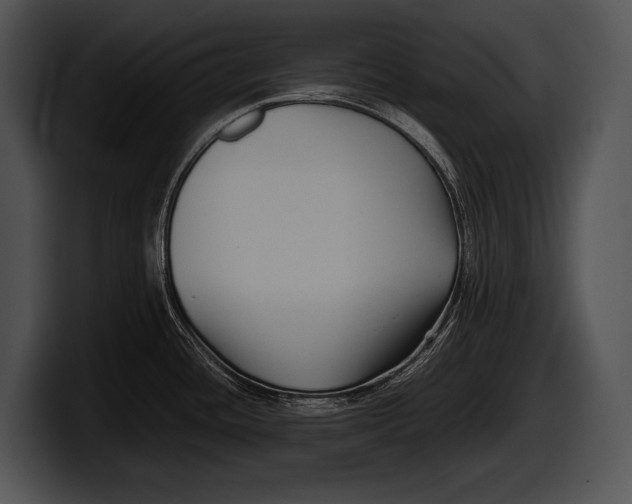 X0000100191436200806201245