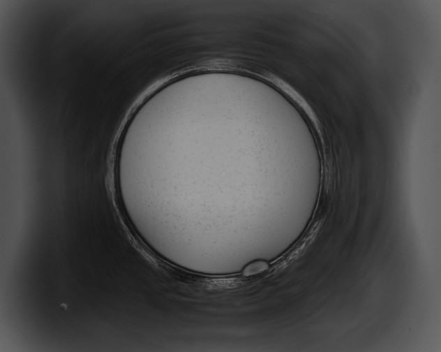 X0000100191437200806201245