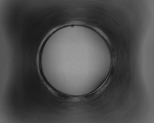 X0000100191438200806201245