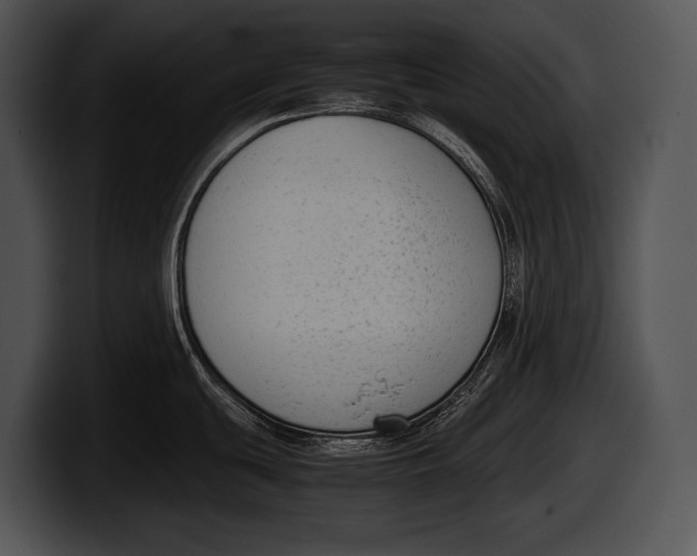 X0000100191439200806201245