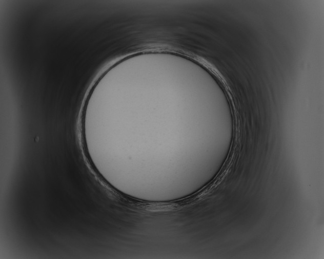 X0000100191440200806201245