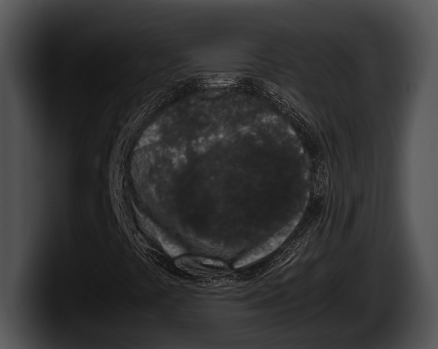 X0000100191441200806201245