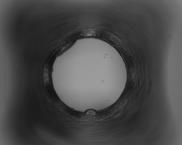 X0000100191442200806201245